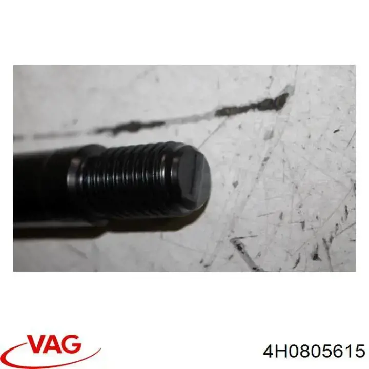  VAG 4H0805615