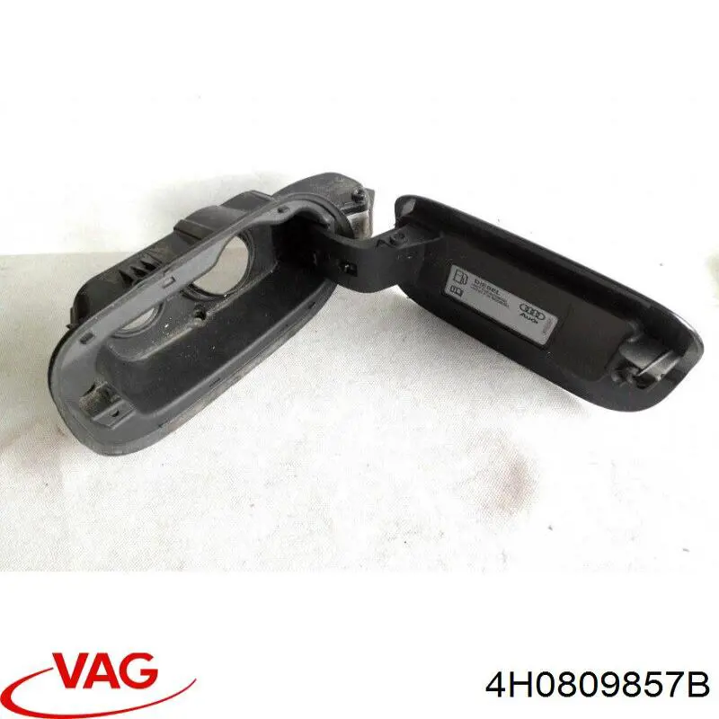 4H0809857B VAG 