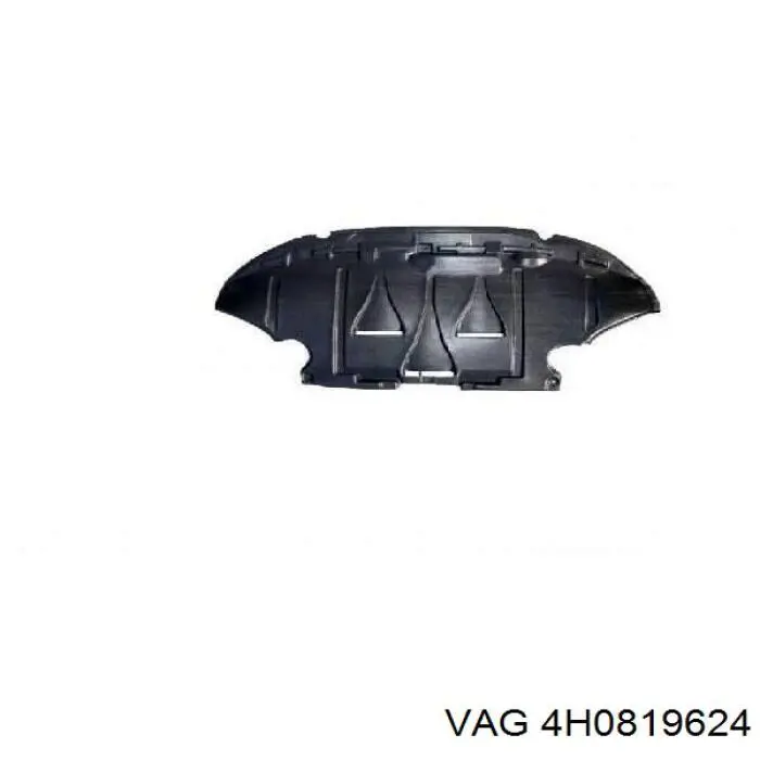  4H0819624 VAG
