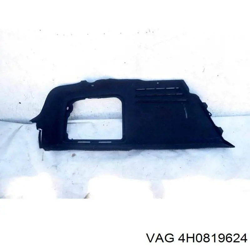 4H0819624 VAG 