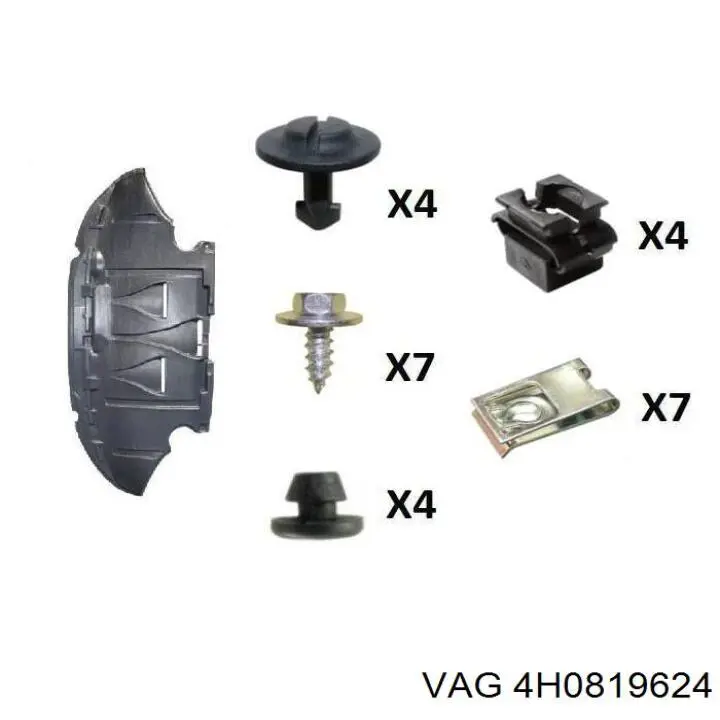  4H0819624 VAG