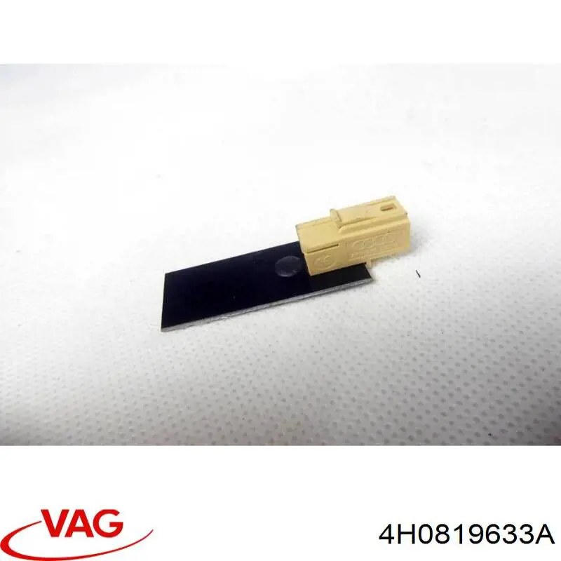  4H0819633A VAG