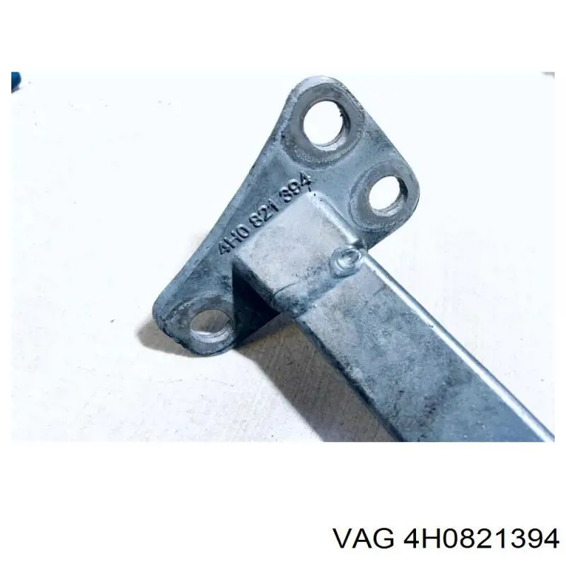 4H0821394 VAG 