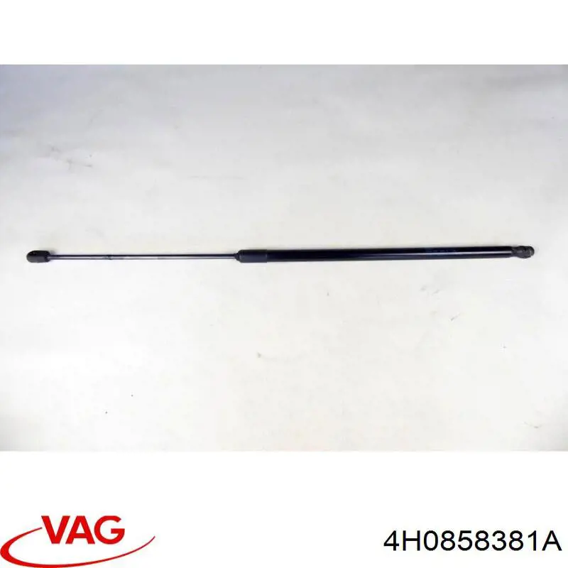  VAG 4H0858381A