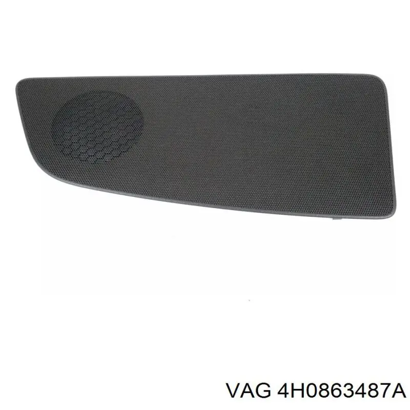 4H0863487A VAG 