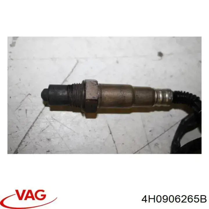  VAG 4H0906262L