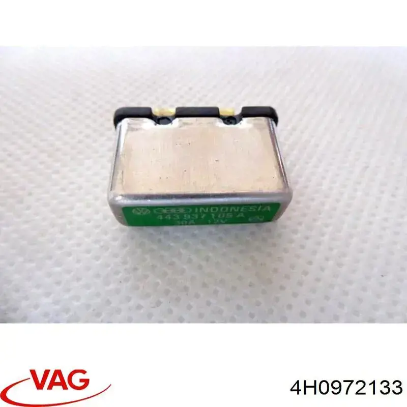  4H0972133 VAG