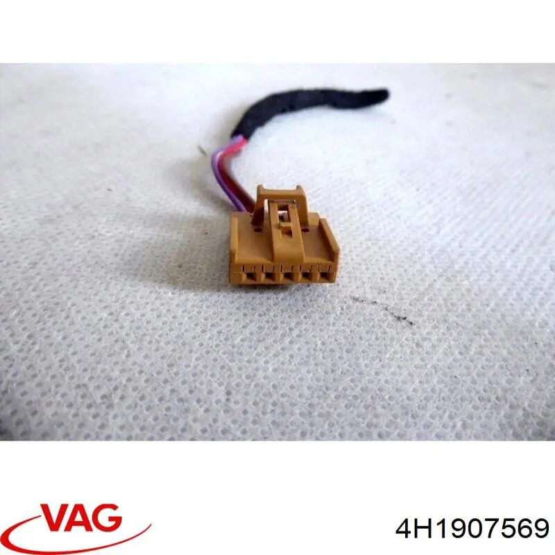  4H1907569 VAG