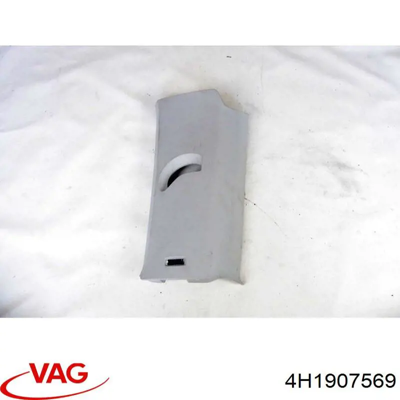  4H1907569 VAG