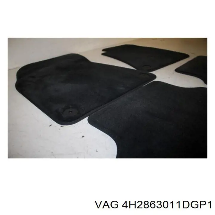 4H2863011DGP1 VAG 
