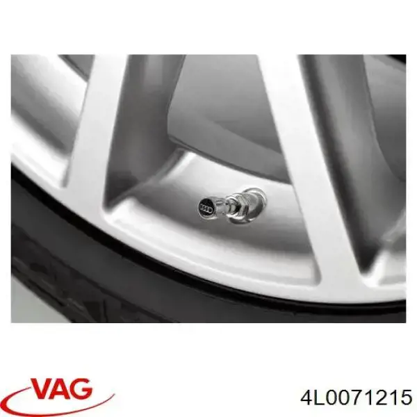  4L0071215 VAG