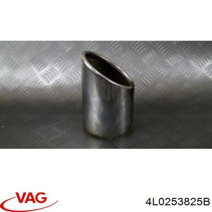 4L0253825B VAG 