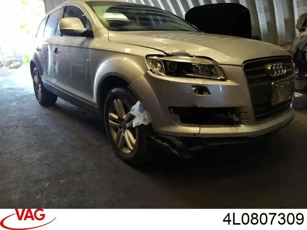 FP1201980 FPS Reforçador do pára-choque traseiro