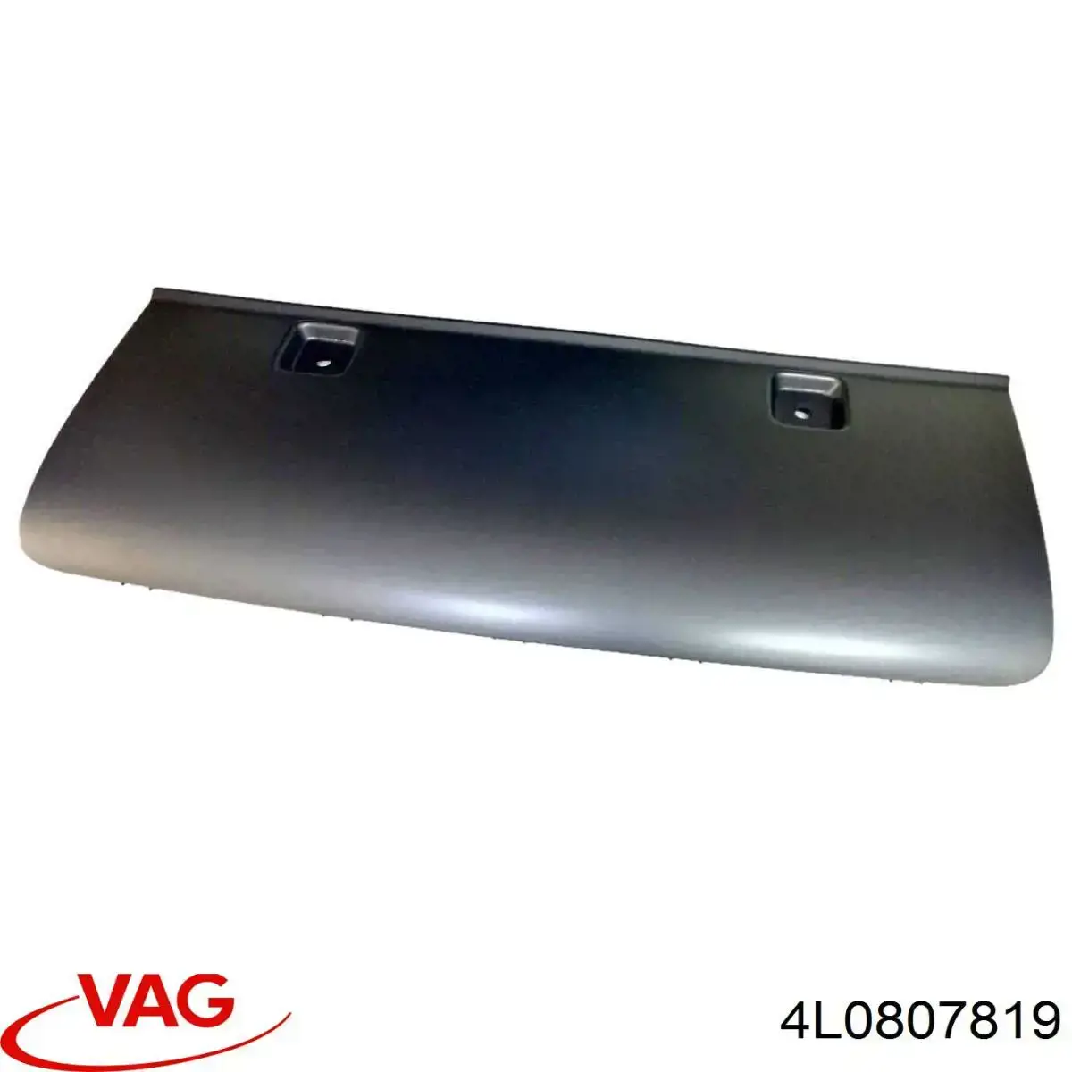  4L0807819 VAG