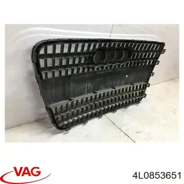 4L0853651 VAG Решетка радиатора