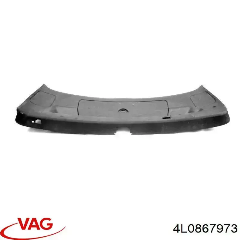 4L0867973 VAG 