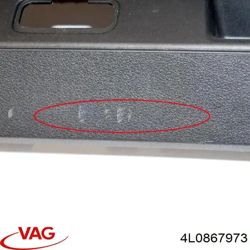  4L0867973 VAG