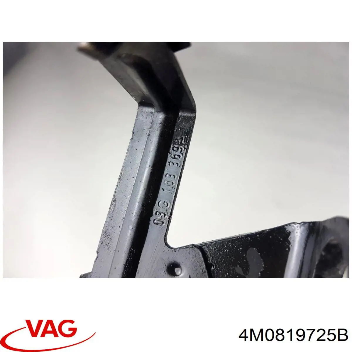  4M0819725B VAG
