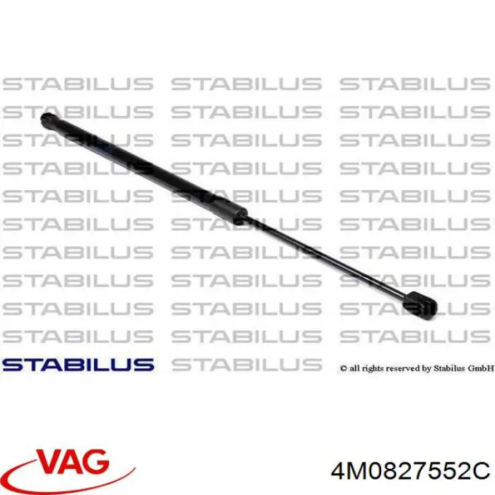 Амортизатор задней двери VAG 4M0827552C цена, от 24.07 USD