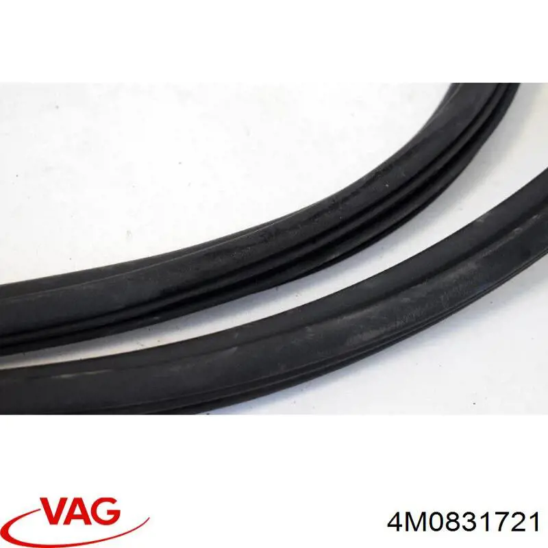 Уплотнитель двери передней (на кузове) VAG 4M0831721A цена, от 31.67 USD