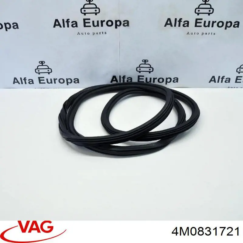 Купить 4M0831721A VAG Уплотнитель двери передней (на кузове)