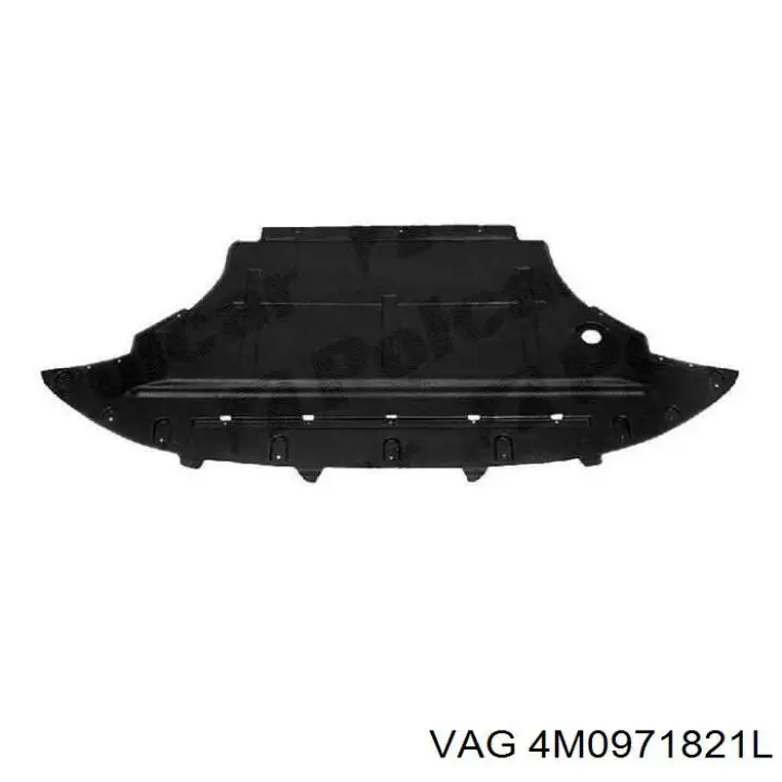  VAG 4M0971821L