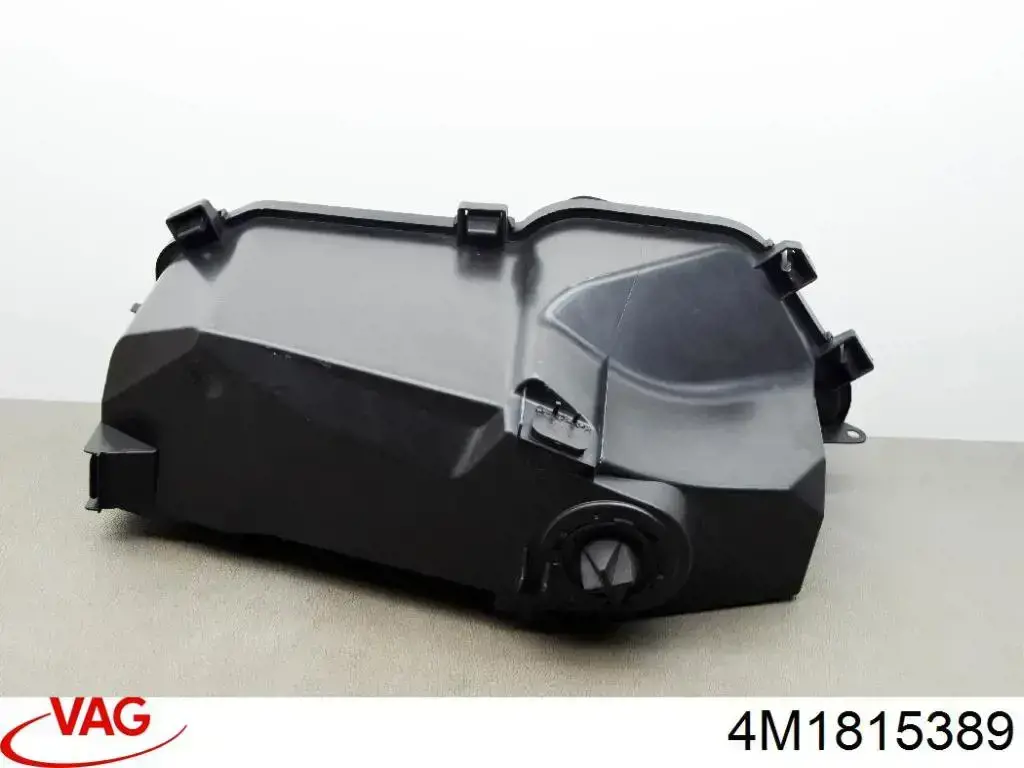  VAG 4M1815389
