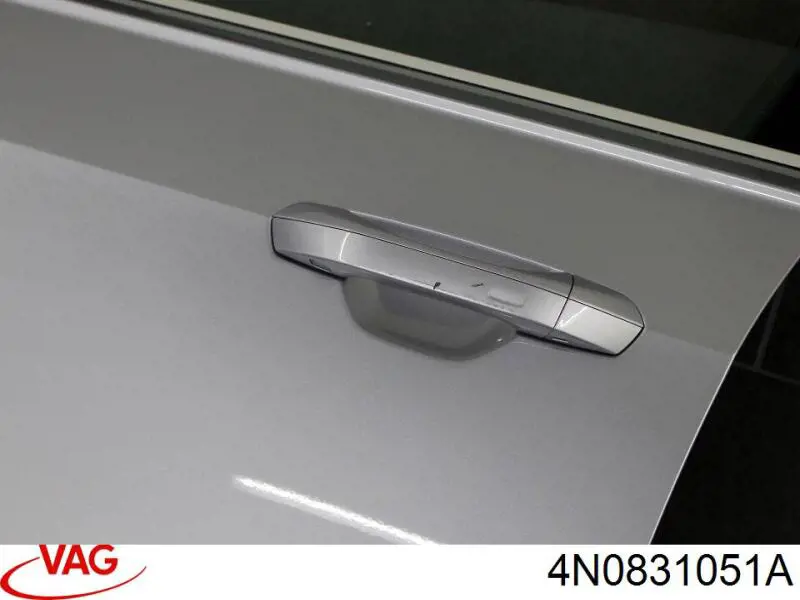 Двери VAG 4N0831051A