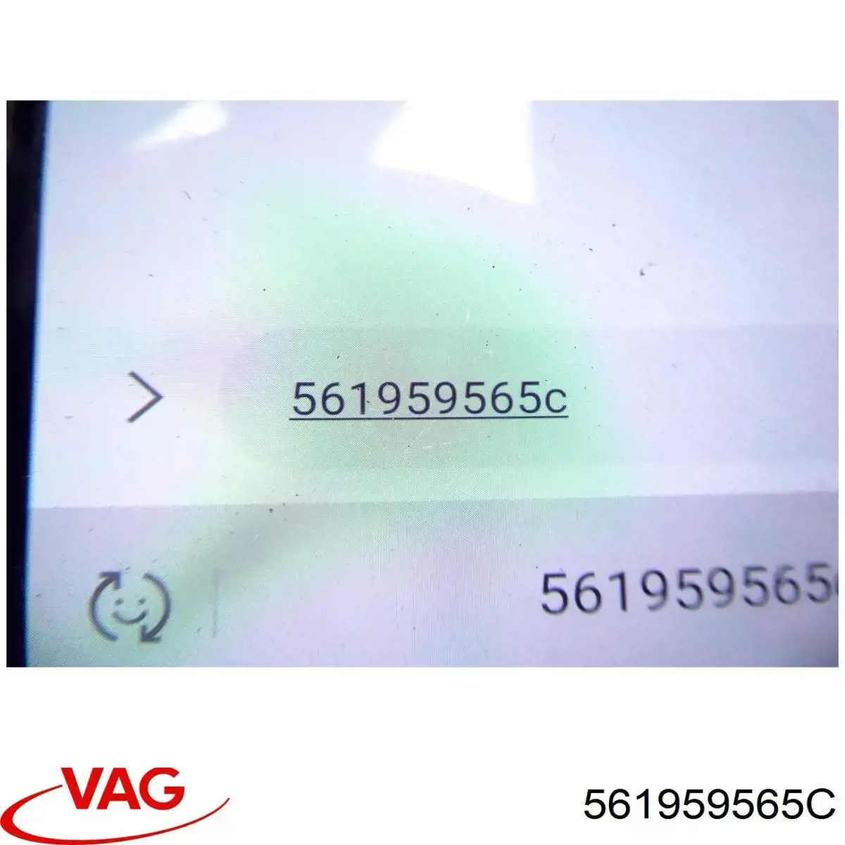  561959565C VAG