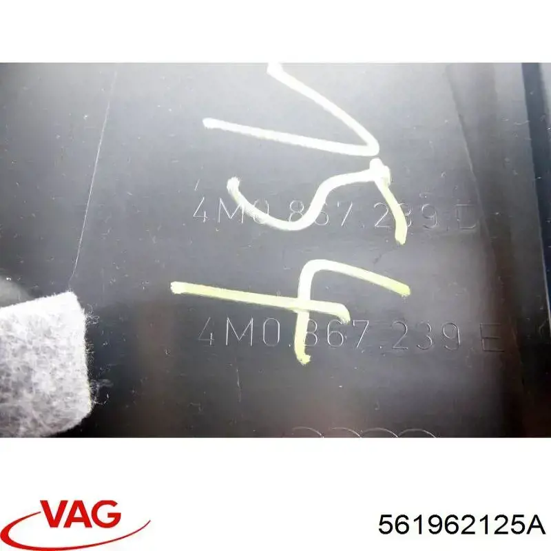  561962125A VAG