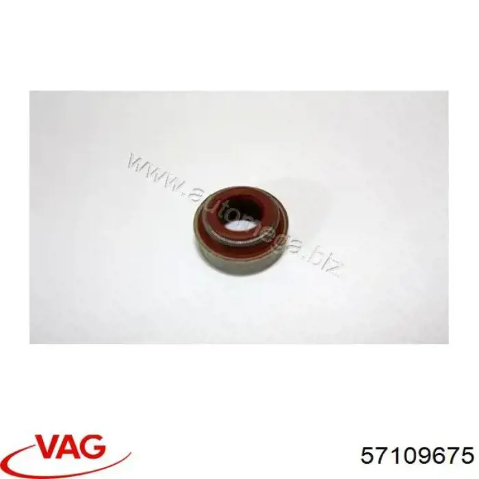 Маслосъемный сальник клапана впуск/выпуск VAG 57109675 цена, от 1.14 USD