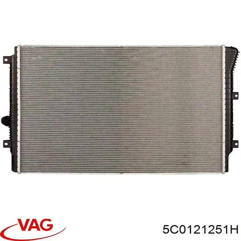 Радиатор охлаждения двигателя VAG 5C0121251H цена, от 86.15 USD
