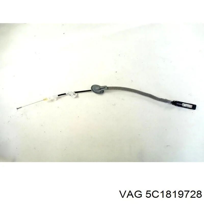 5C1819728 VAG 