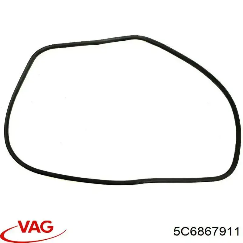 Купить 5C6867911G9B9 VAG Уплотнитель двери передней левой (на двери)