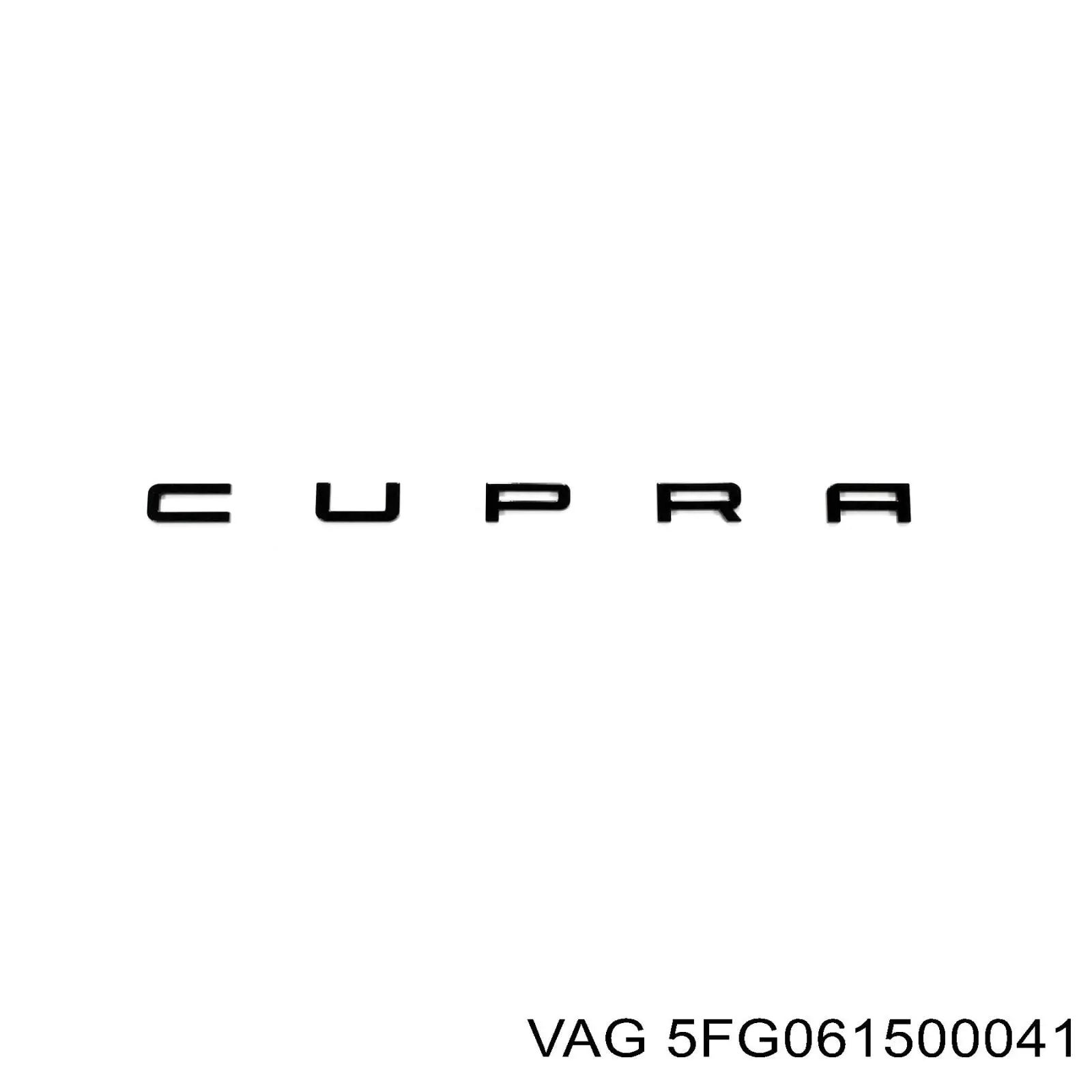  5FG061500041 VAG