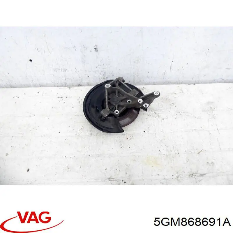  5GM868691A VAG