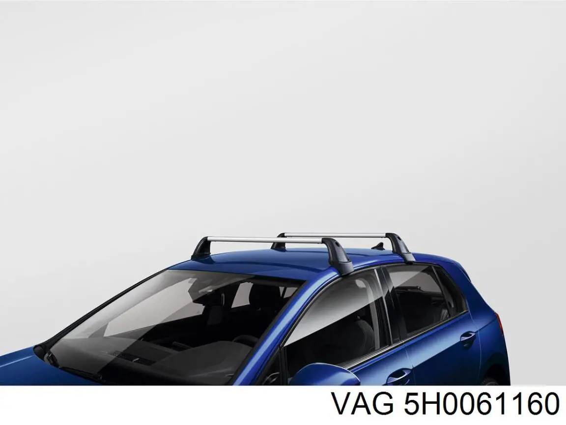  5H0061160 VAG