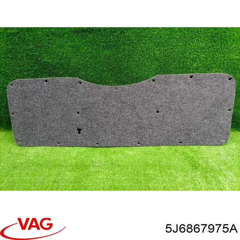 5J6867975A VAG 