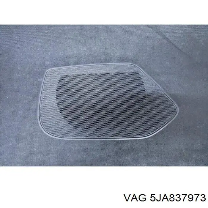 5JA837973 VAG 