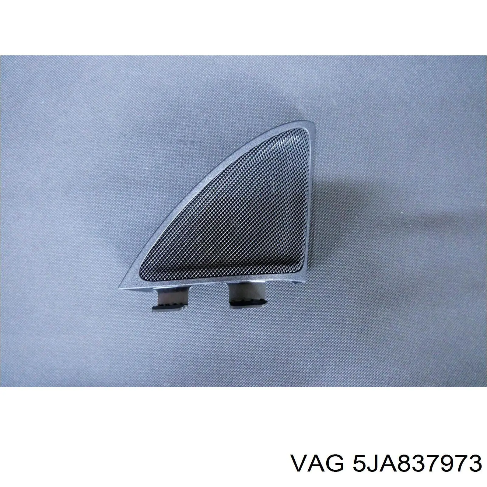  5JA837973 VAG