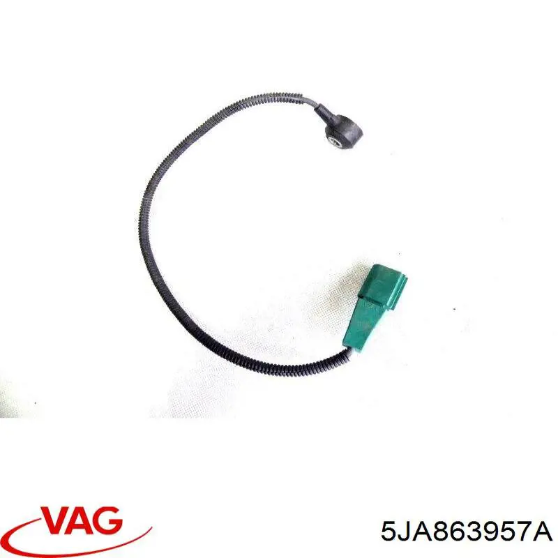  5JA863957A VAG