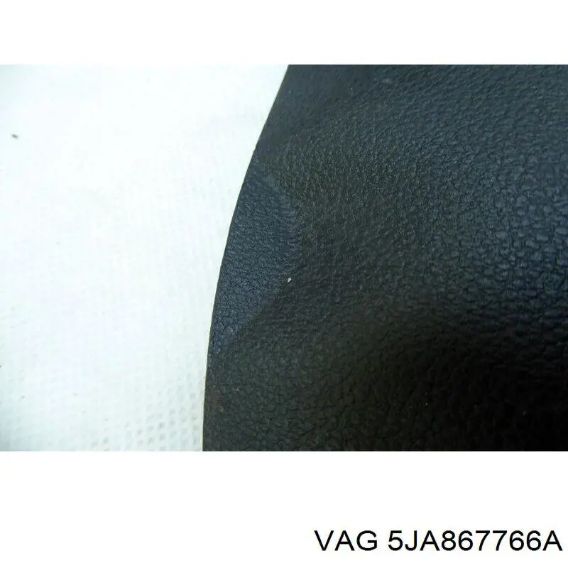  5JA867766A VAG