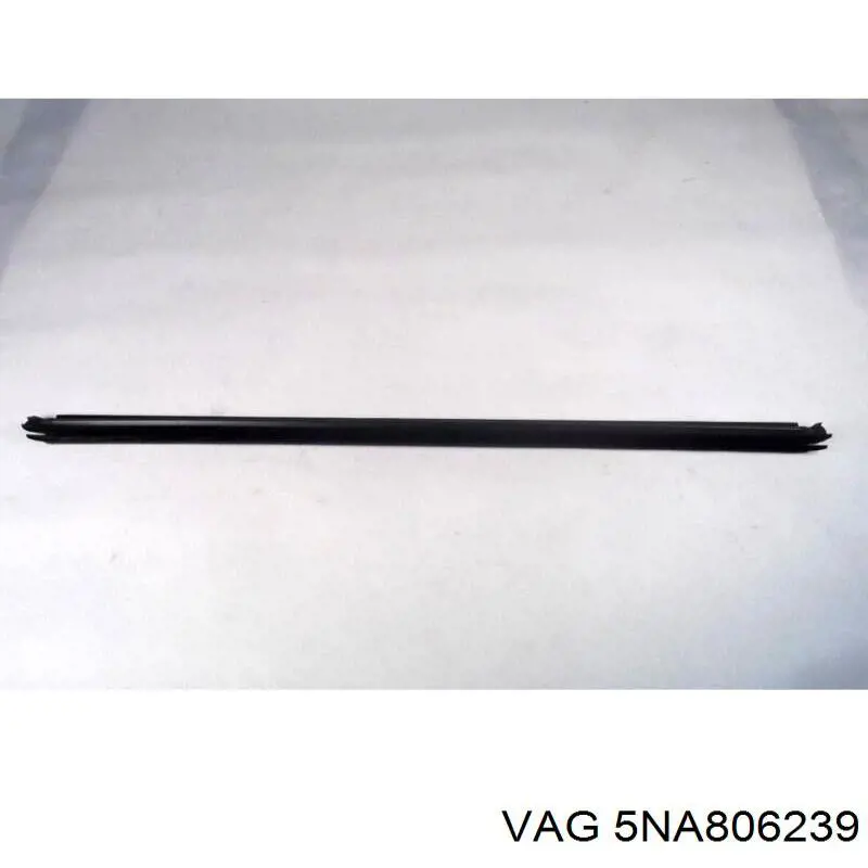 5NA806239 VAG 