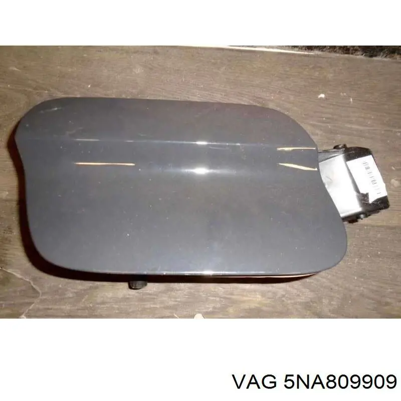  5NA809909 VAG