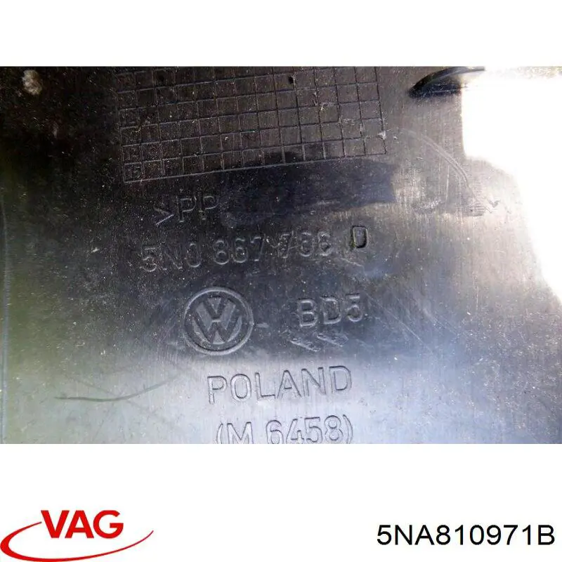 5NA810971C VAG 