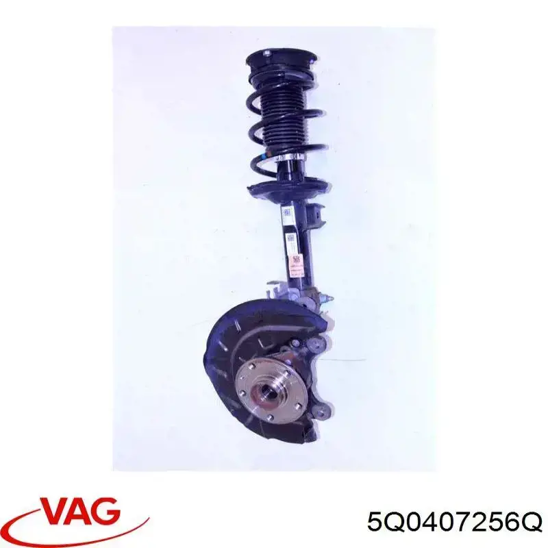 5Q0407256Q VAG Цапфа - поворотный кулак передний, правый