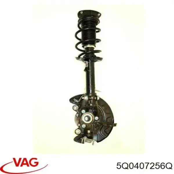 Цапфа (поворотный кулак) передний правый VAG 5Q0407256Q цена, от 74.49 USD