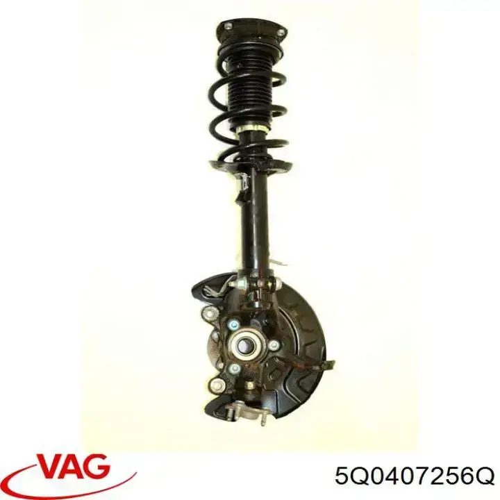 Цапфа передняя правая 5Q0407256Q VAG