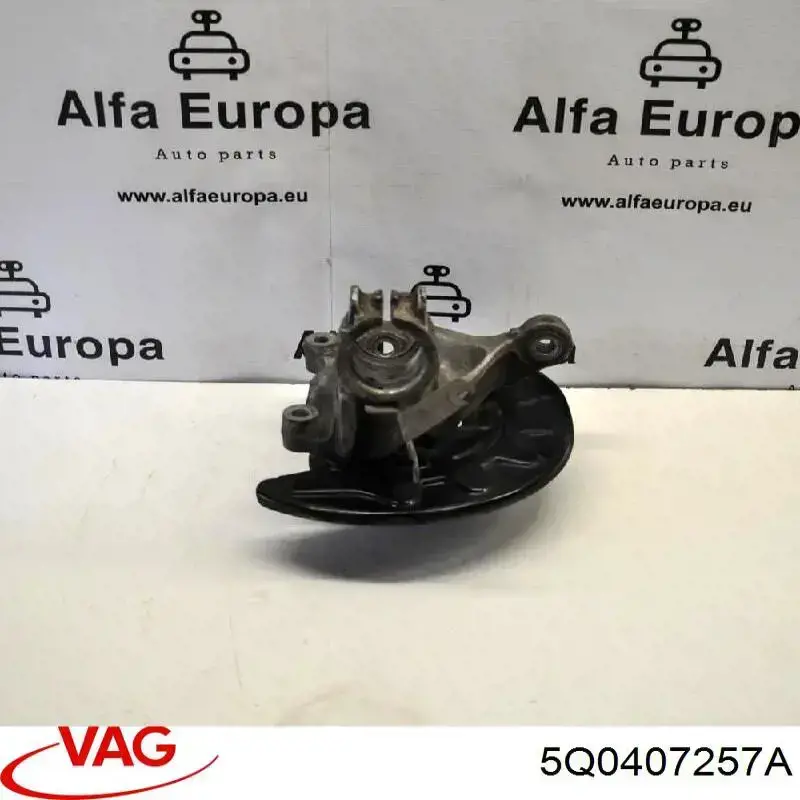Цапфа передняя левая ZWV012L Polcar