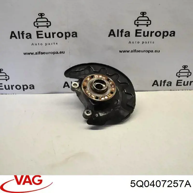 Цапфа (поворотный кулак) передний левый Polcar ZWV012L цена, от 82.53 USD